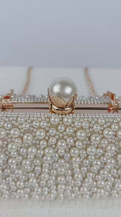 Pearl Embroidered Bead Clutch Bag